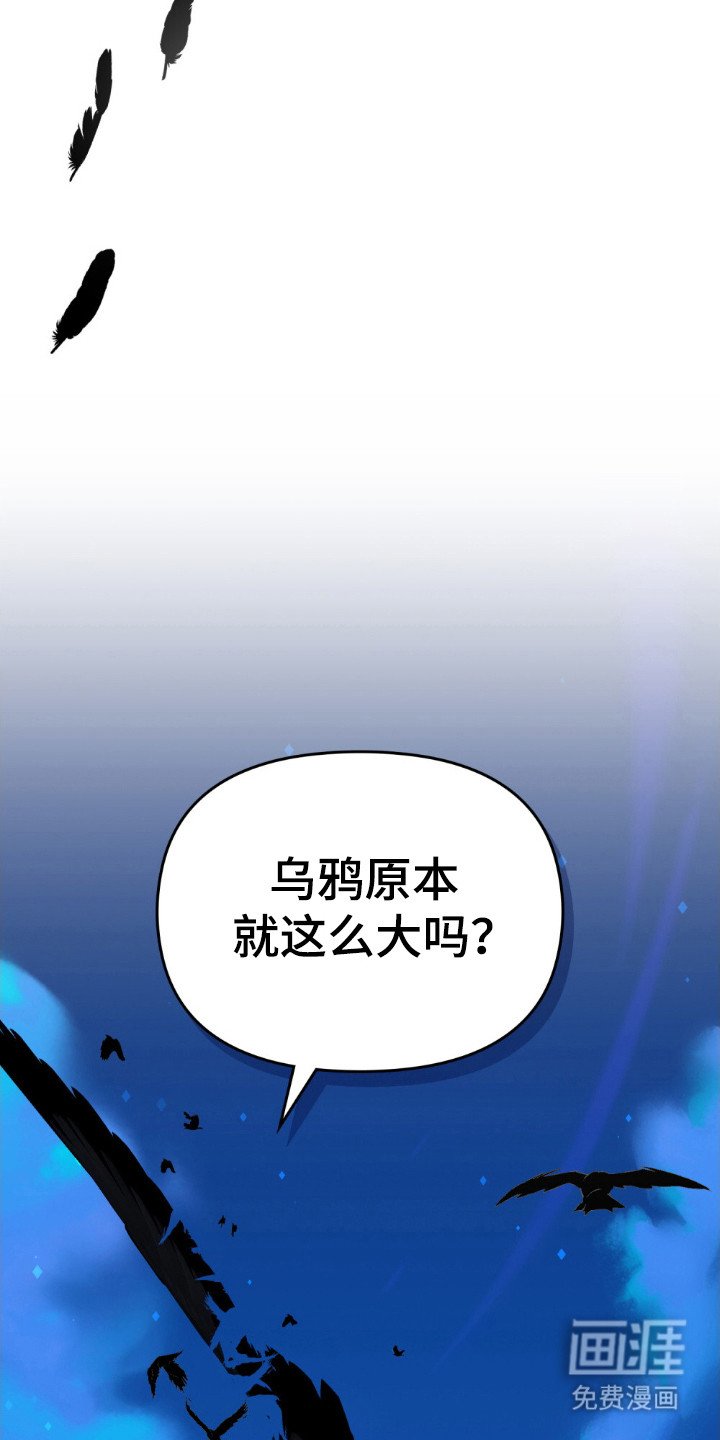 第64章：穿越乌鸦