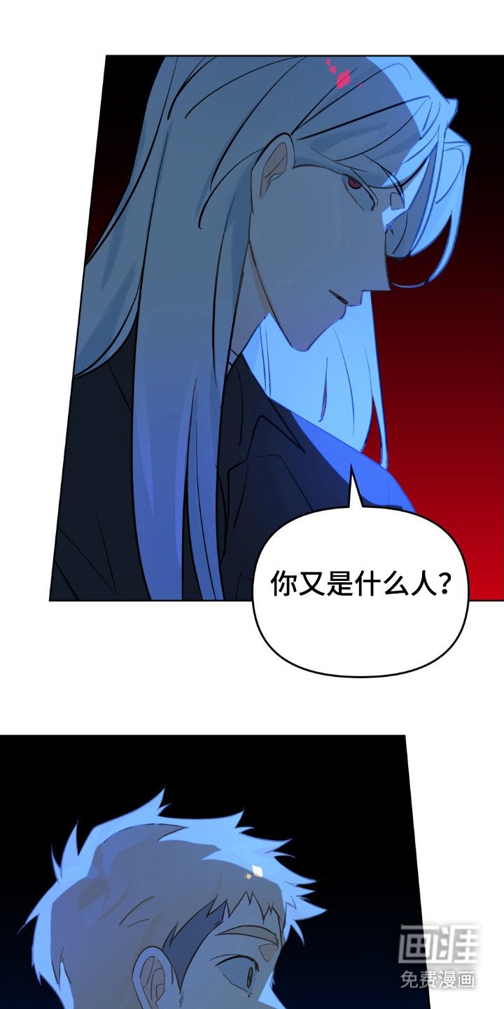 第65章：就像花明
