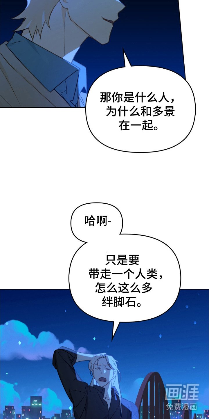 第65章：就像花明