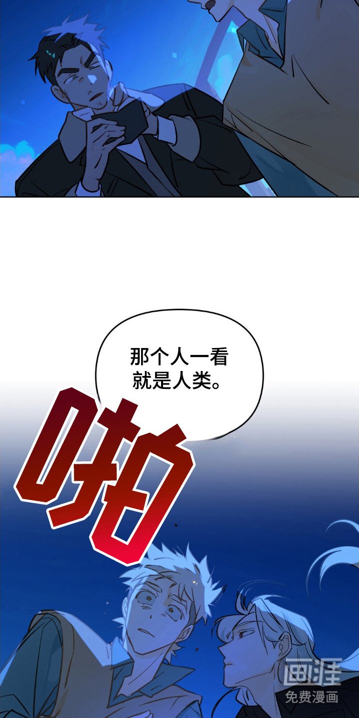 第65章：就像花明