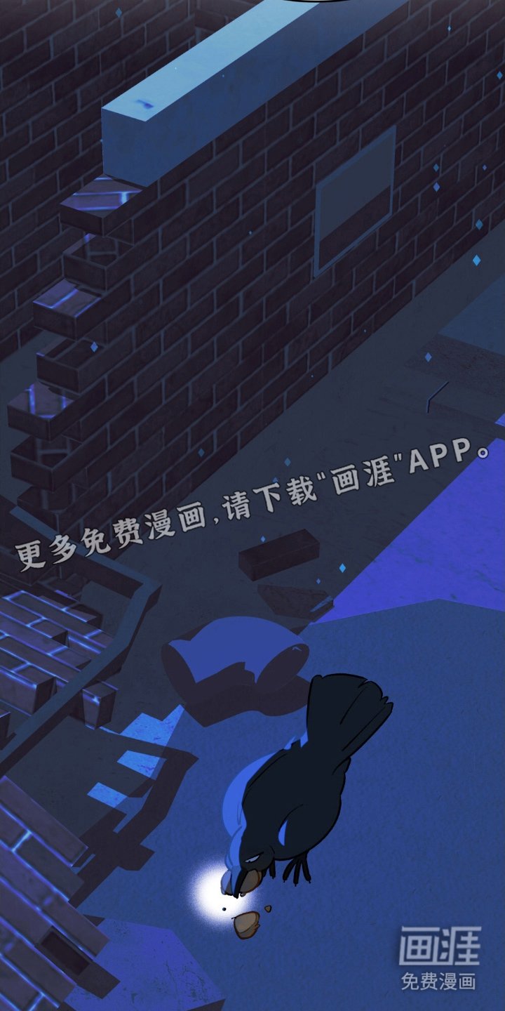第67章：人生悲哀