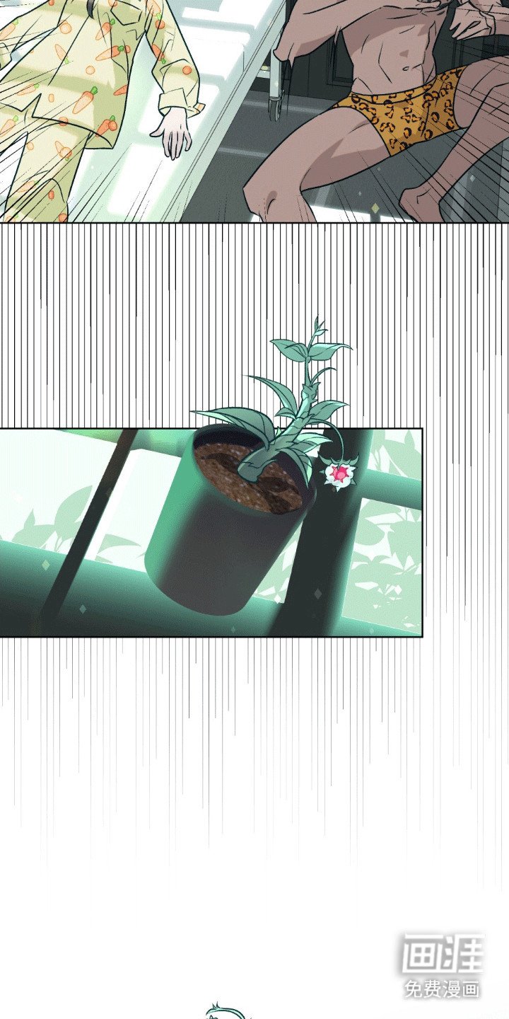 第7章：可以帮你