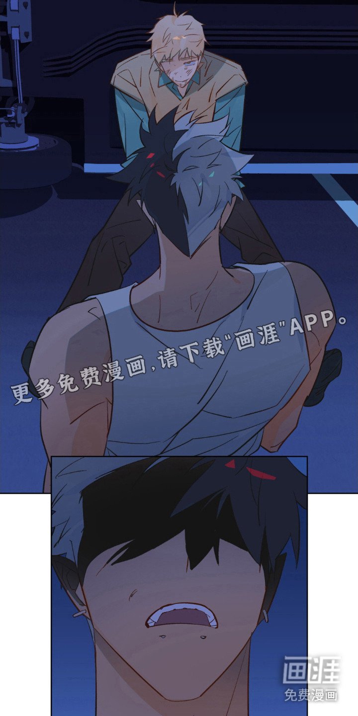 第72章：做决定