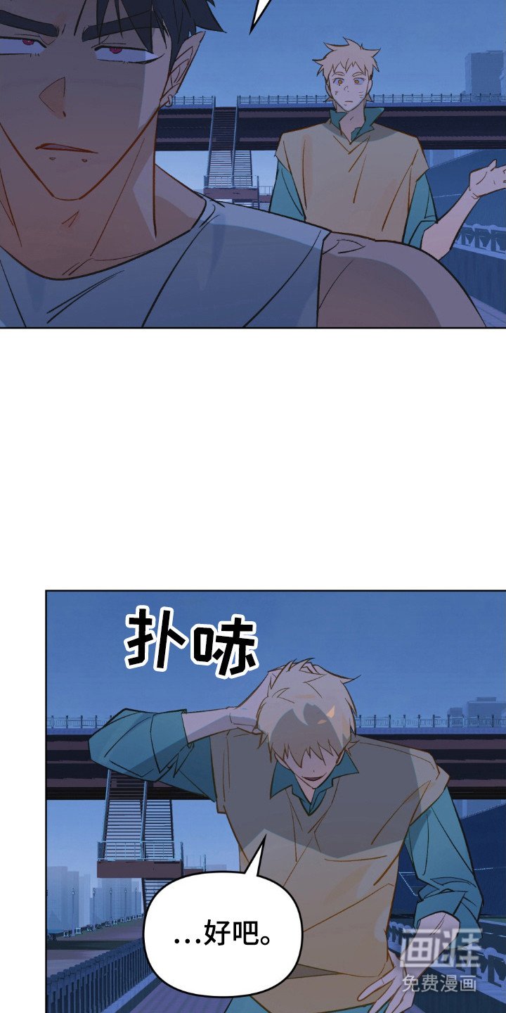 第76章：分开寻找