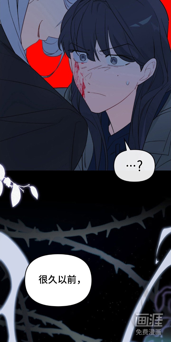 第77章：不死诅咒