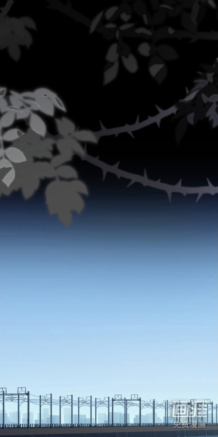 第78章：结束人生
