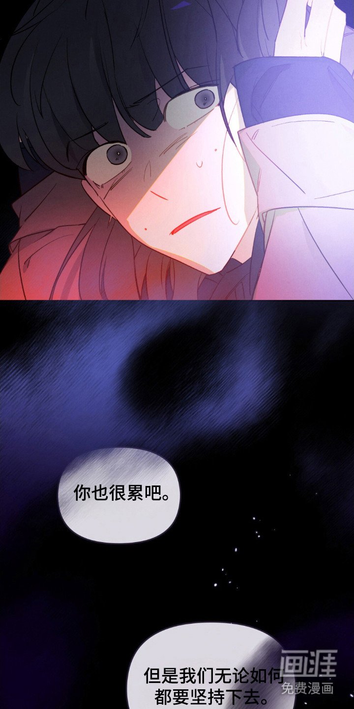 第79章：慢慢消失