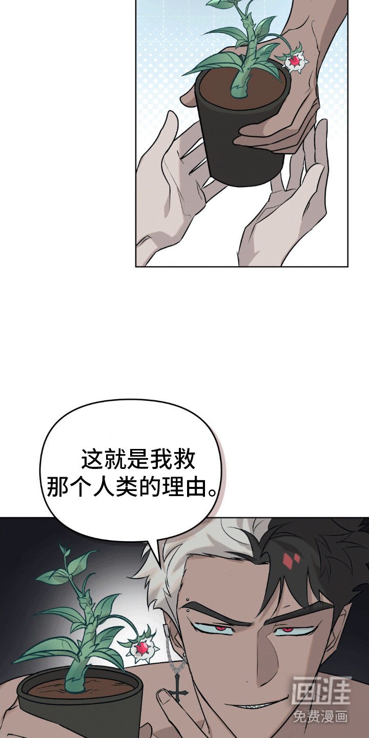 第8章：契约