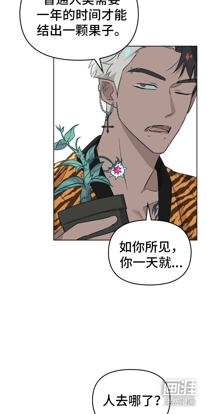 第8章：契约