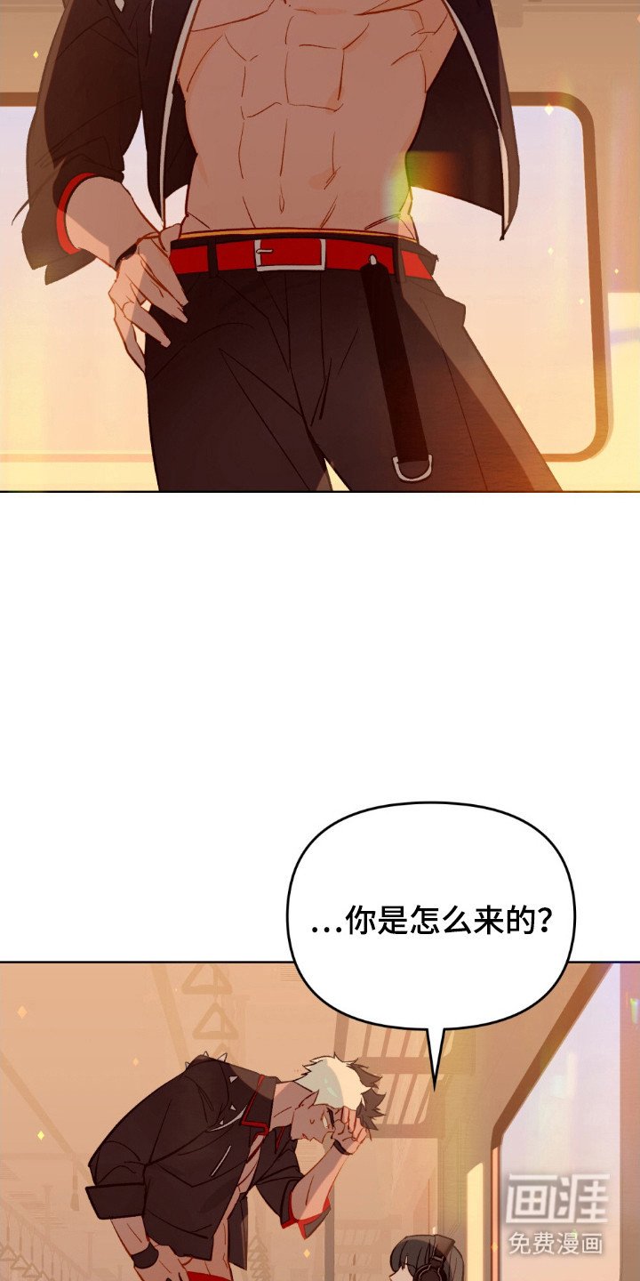 第80章：挡住不幸