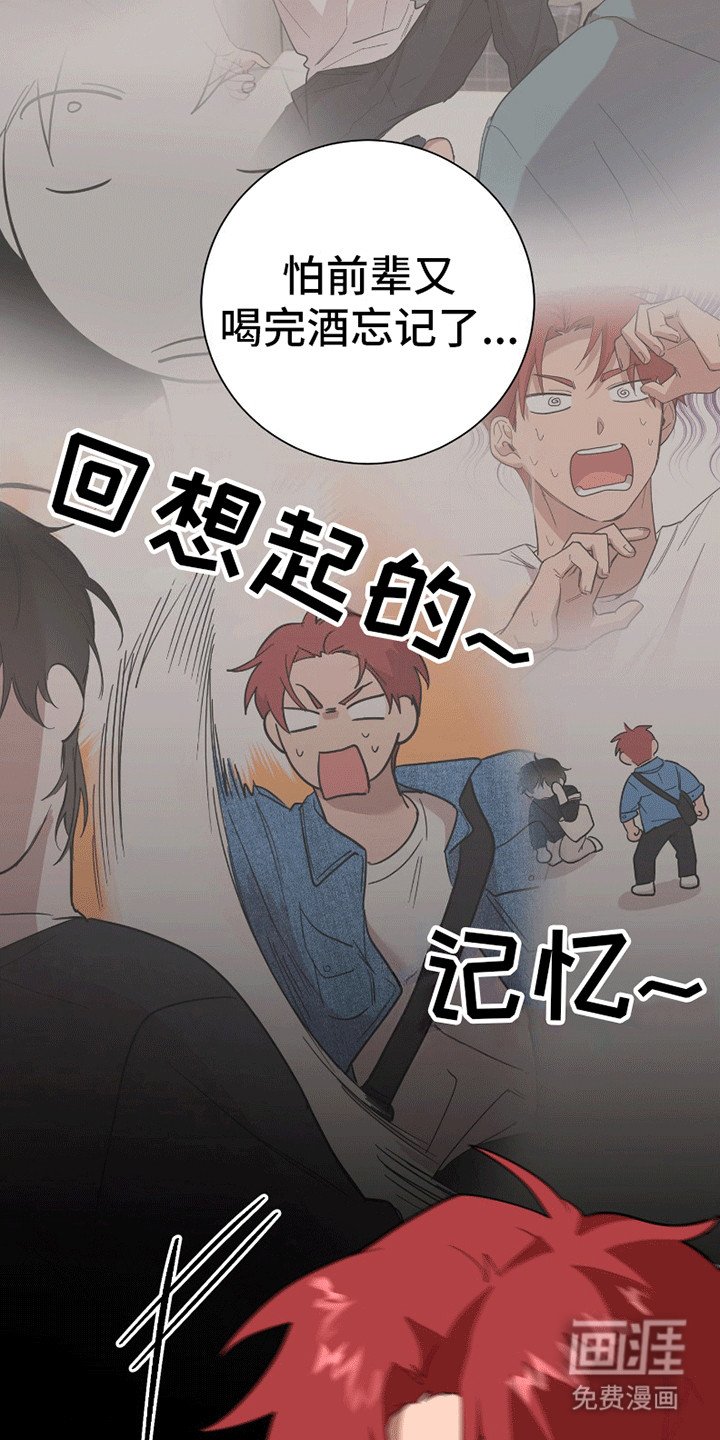 第11章：不许后悔（完结）