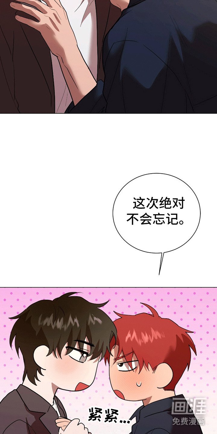 第11章：不许后悔（完结）
