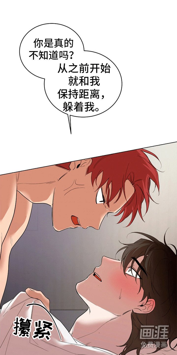 第6章：一朵小黑莲