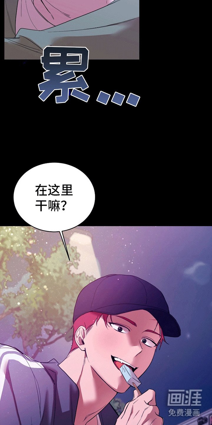 第6章：一朵小黑莲