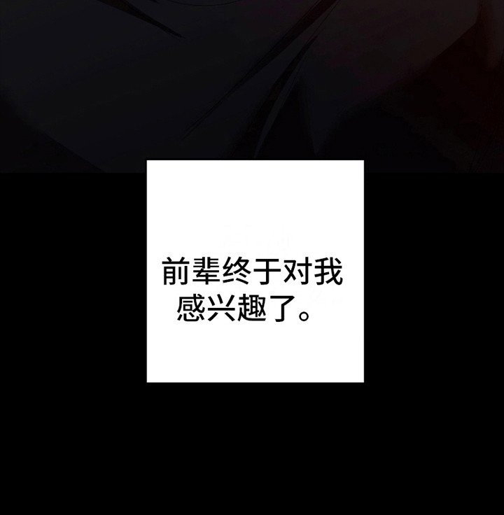 第6章：一朵小黑莲