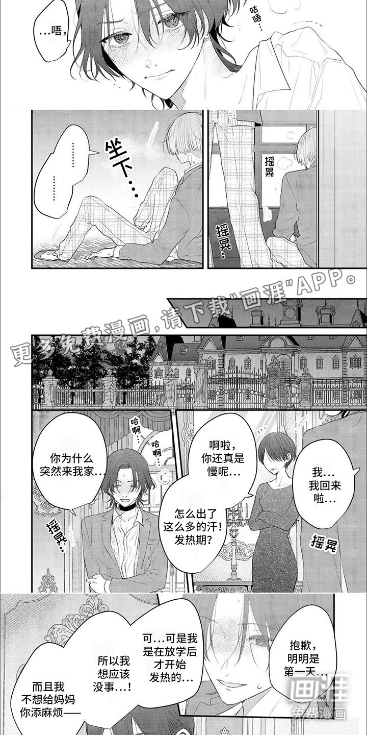 第2章：发热期