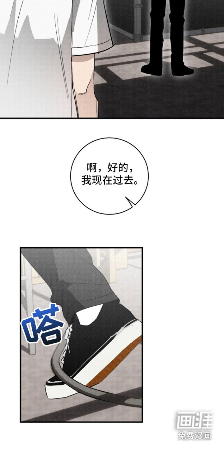 第12章：保护