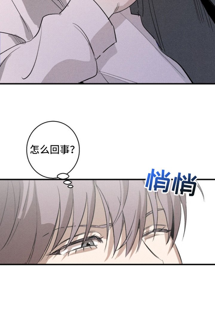 第12章：保护