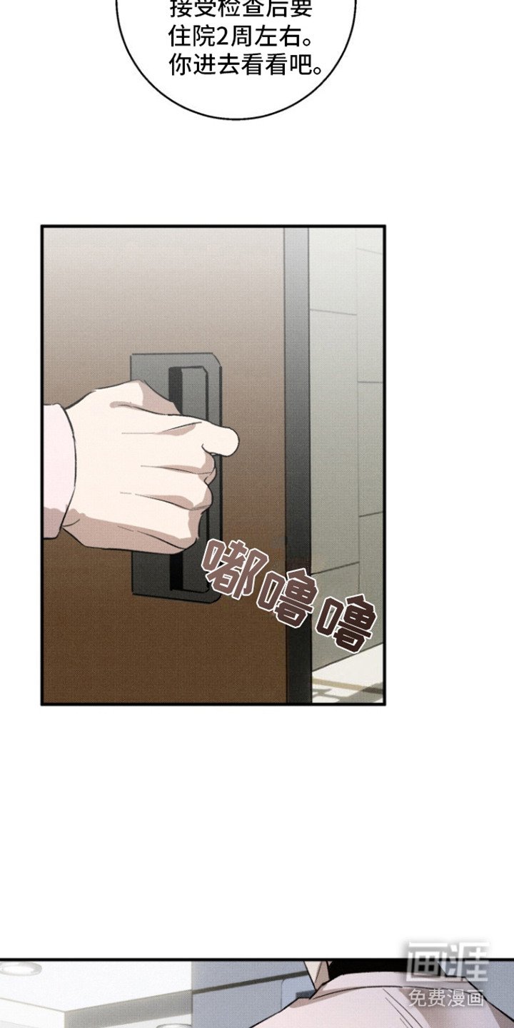 第12章：保护