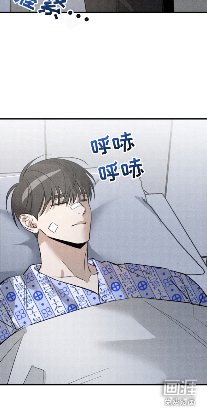 第12章：保护