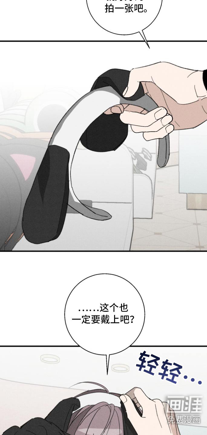 第31章：拍照