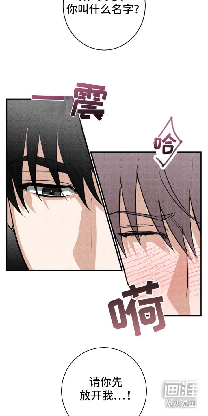 第4章：心寒