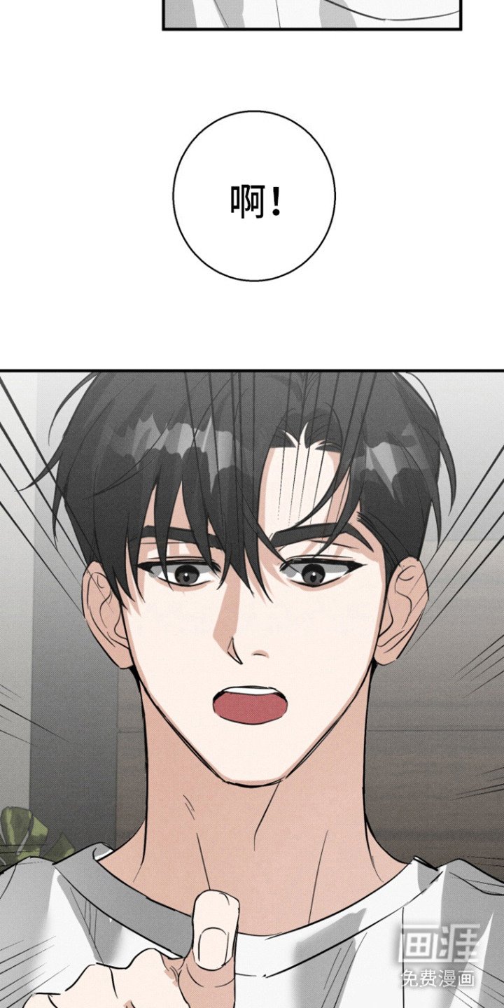 第4章：心寒