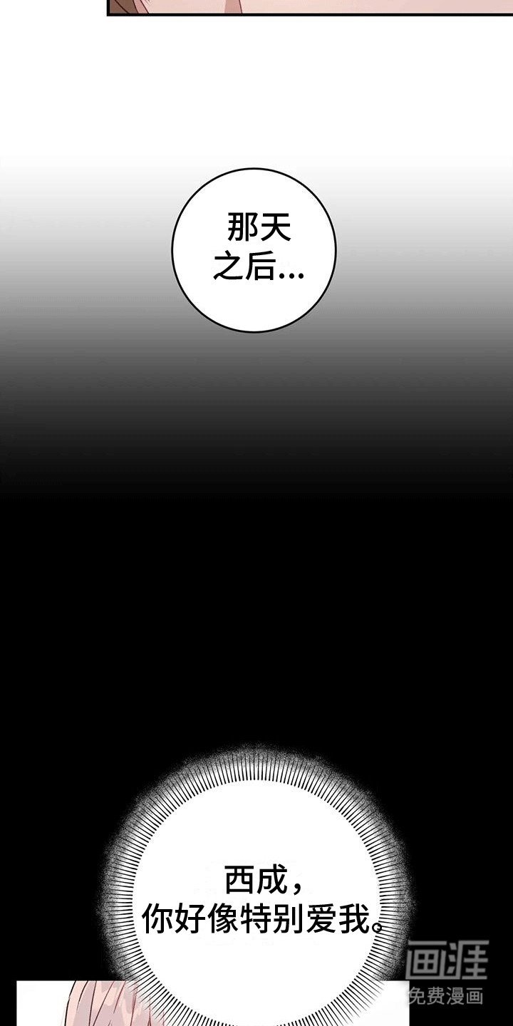 第15章：不像新人