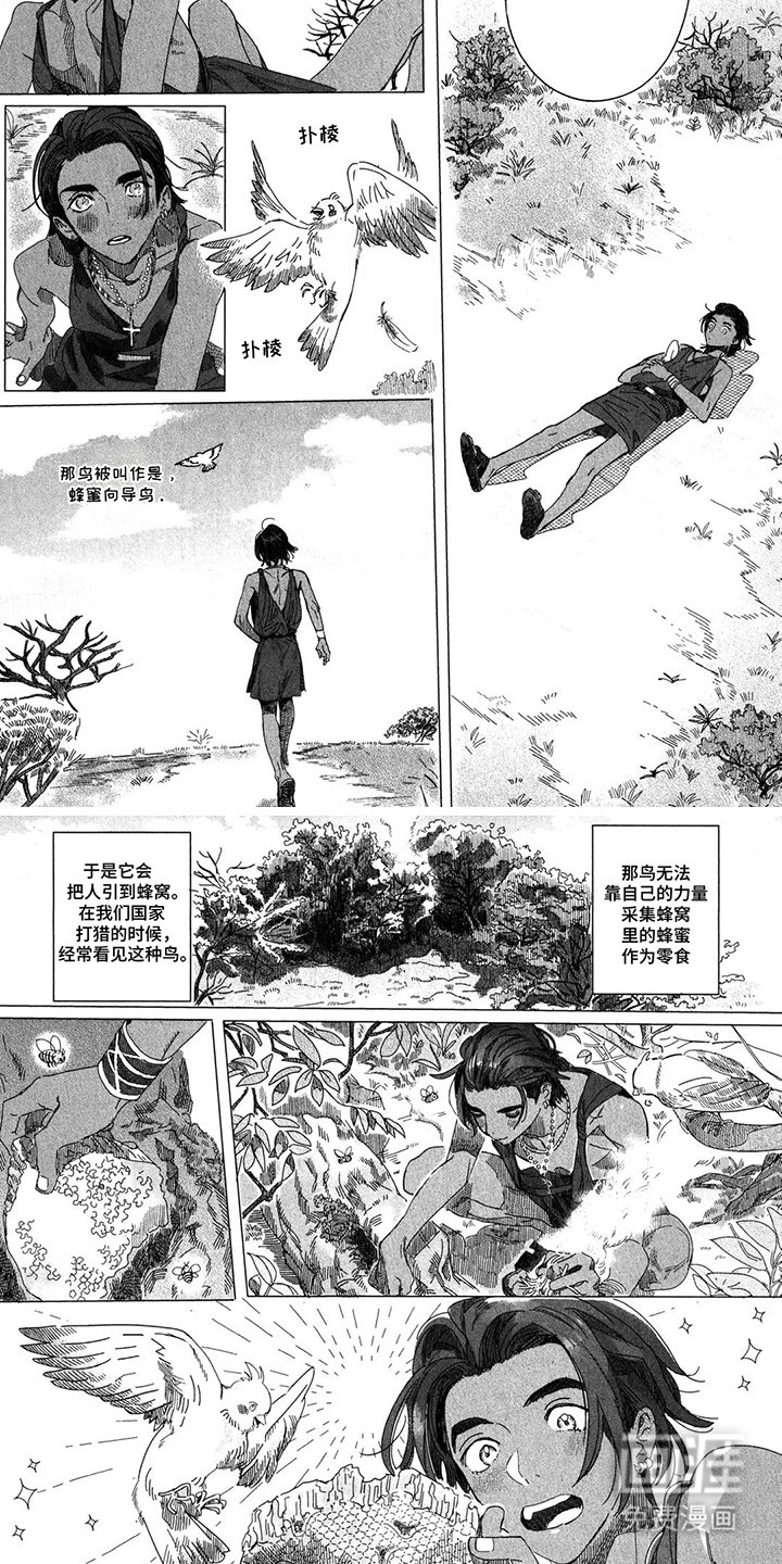 第10章：小豹子