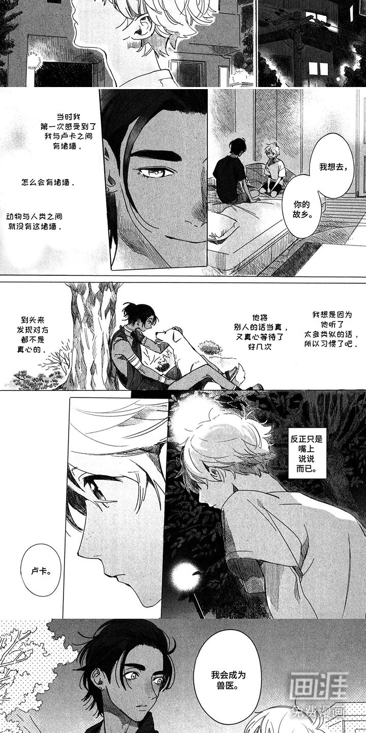 第13章：心愿
