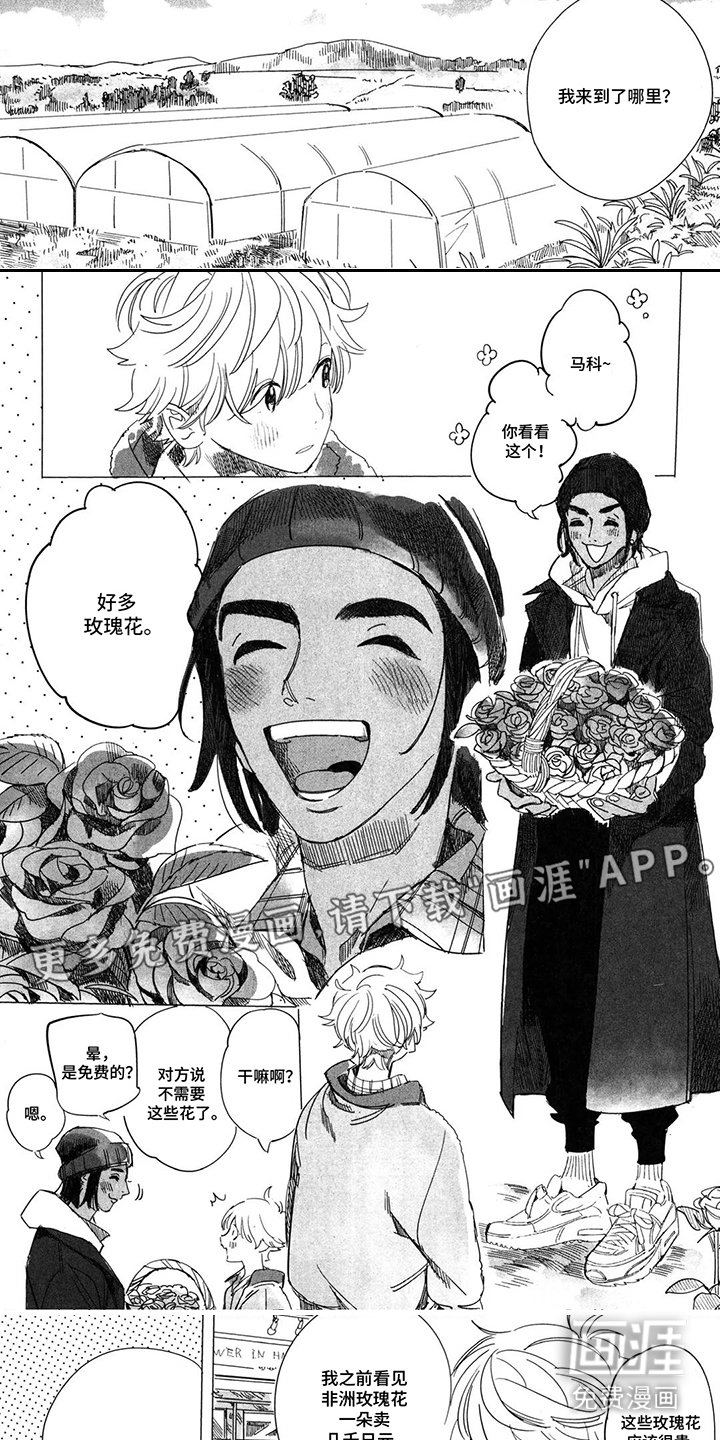 第15章：大草原