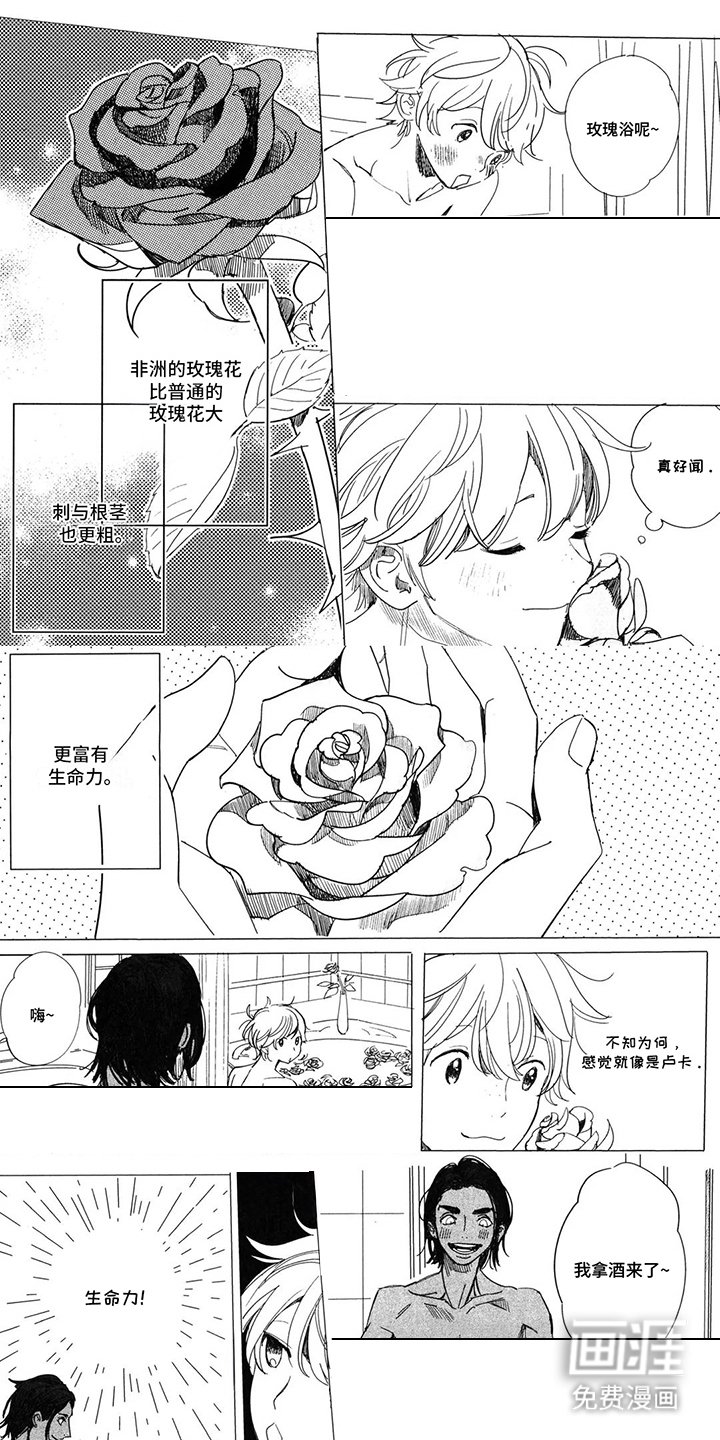 第16章：玫瑰花