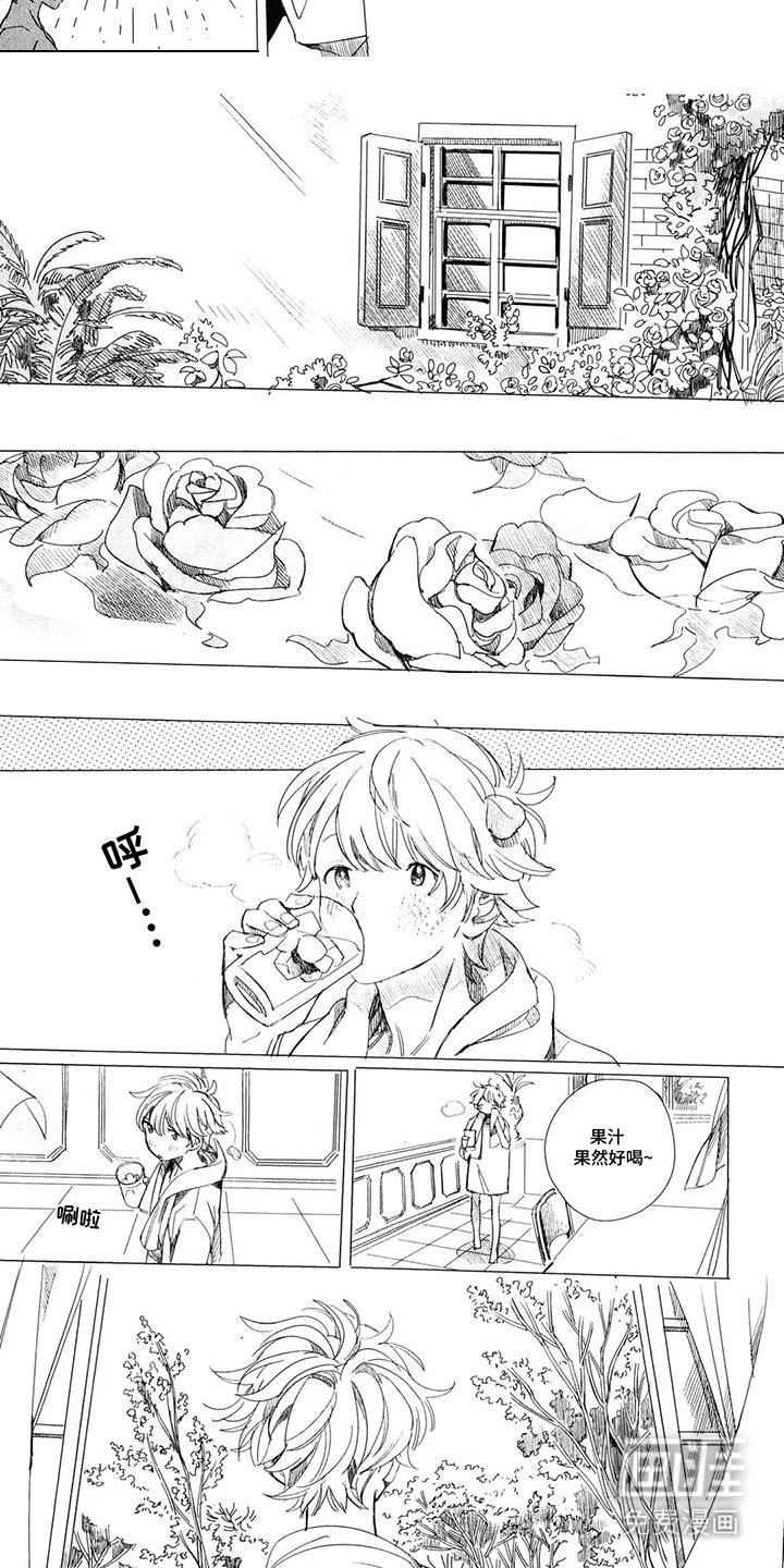 第16章：玫瑰花
