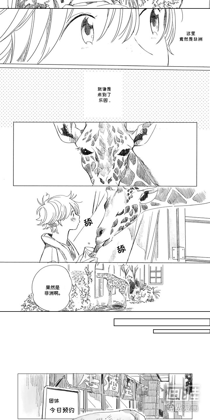 第16章：玫瑰花