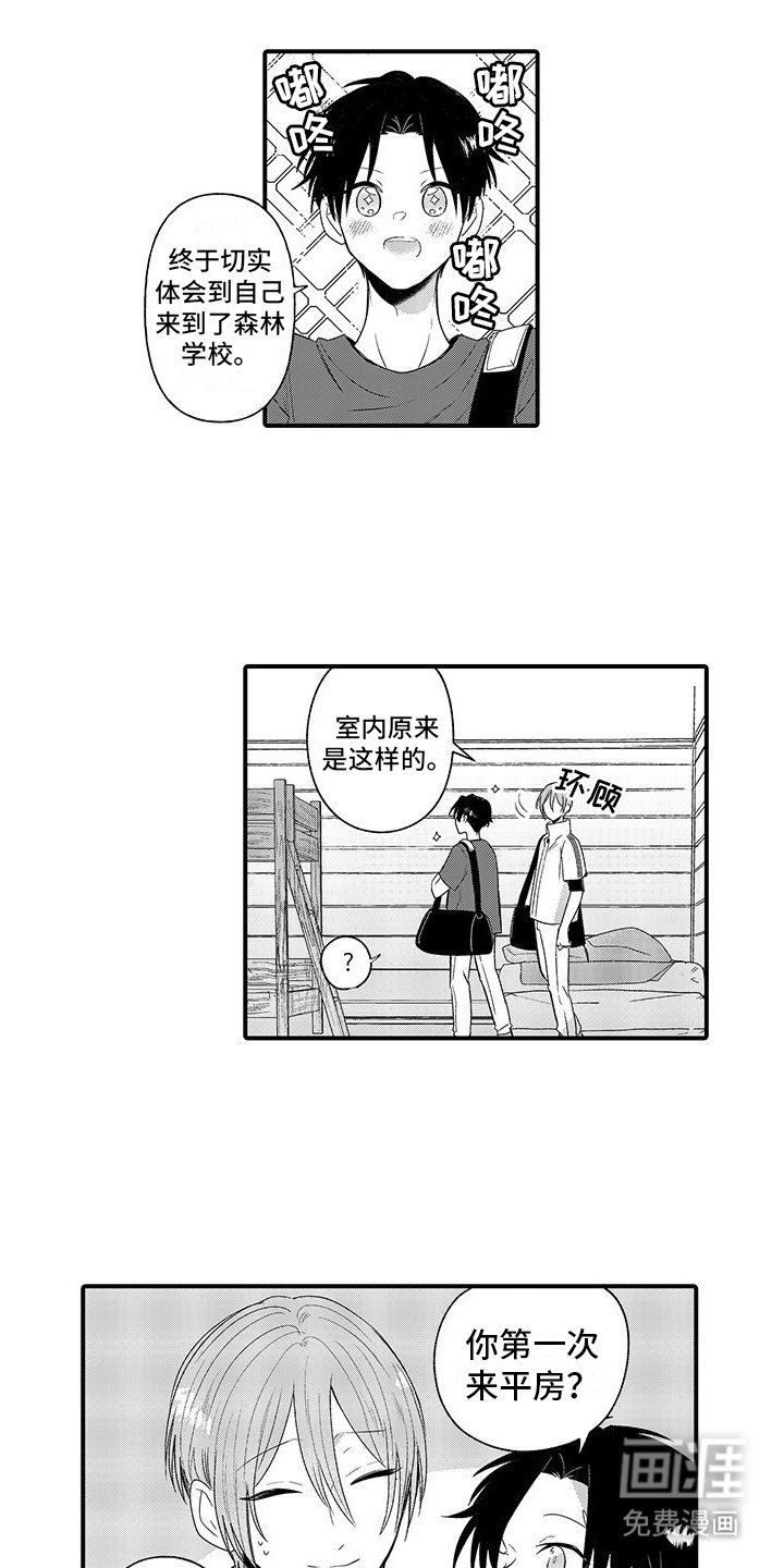 第12章：露营活动