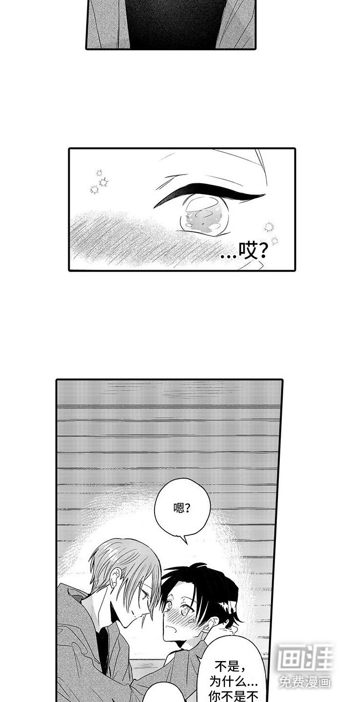 第17章：答复