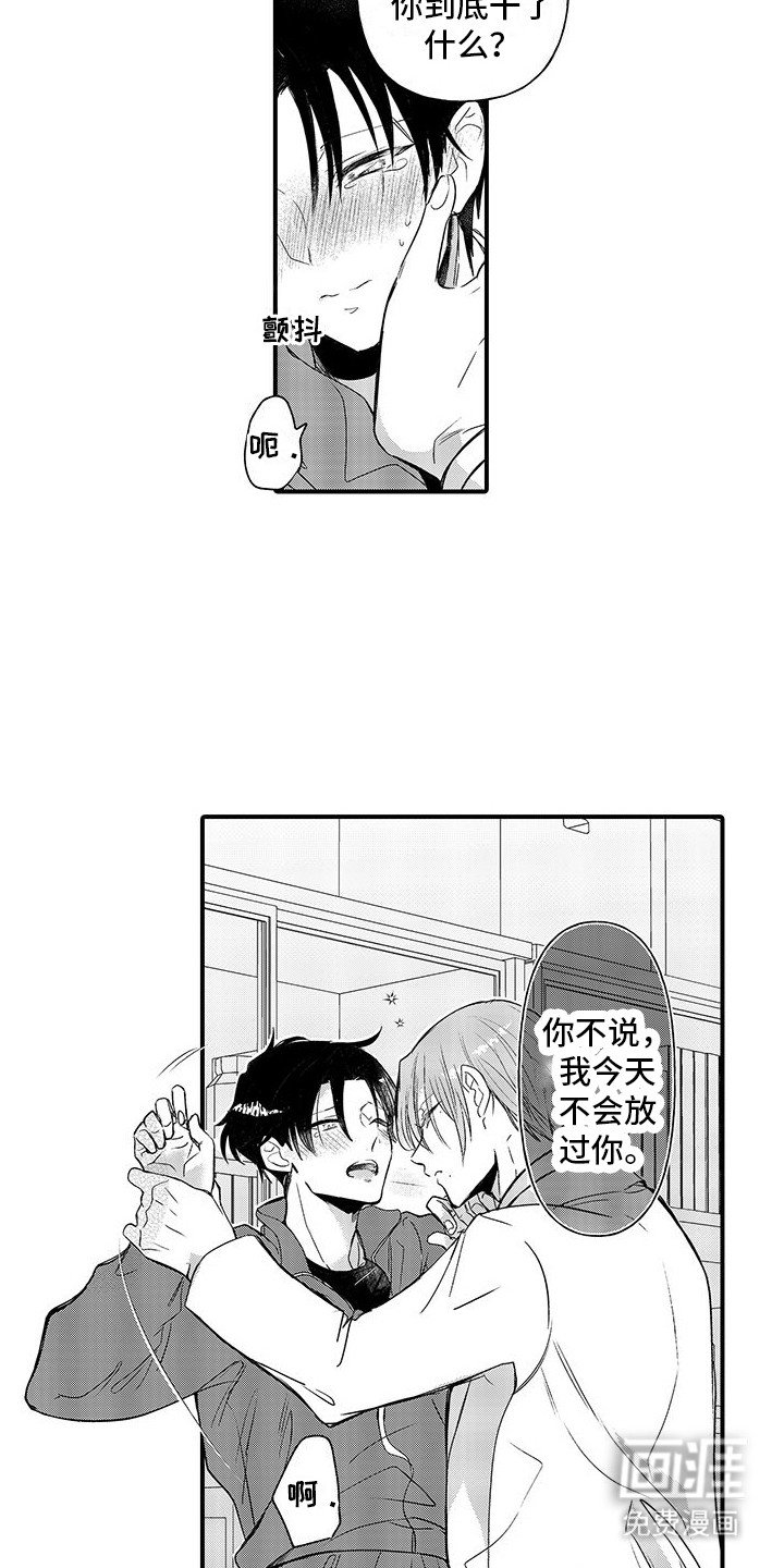 第19章：巧克力
