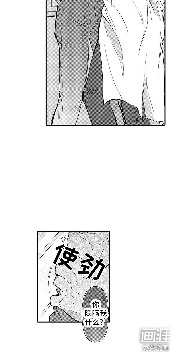 第19章：巧克力