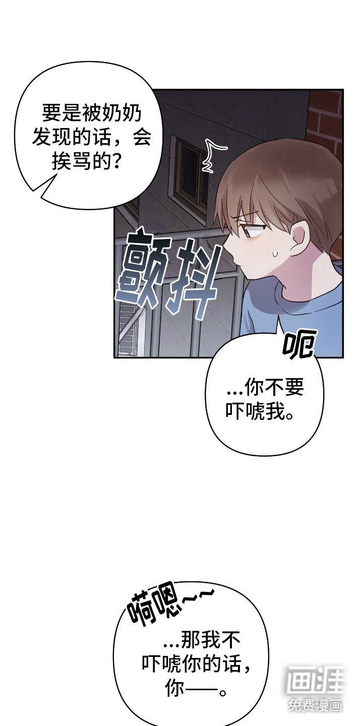 第11章：奇怪