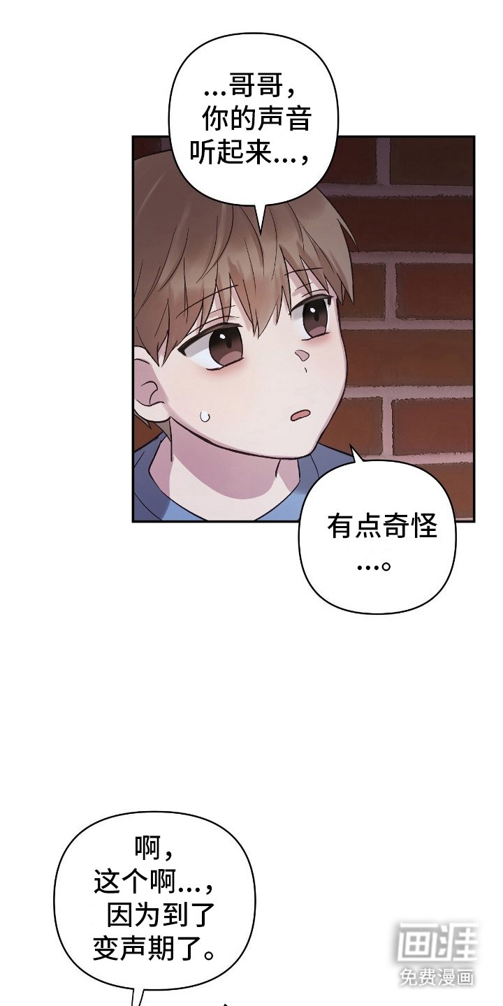 第11章：奇怪