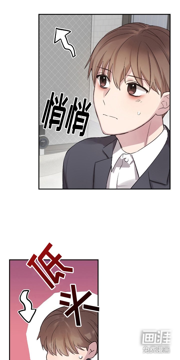 第13章：可比性