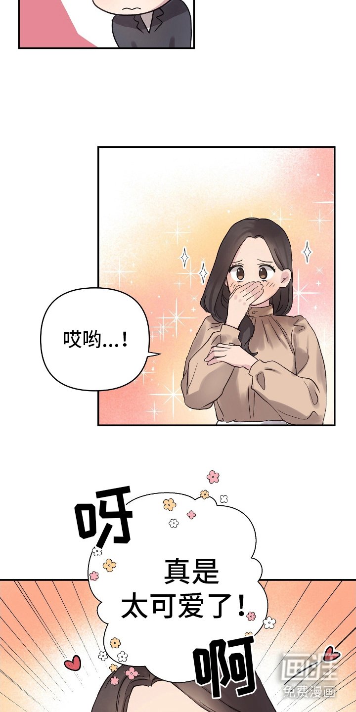第13章：可比性