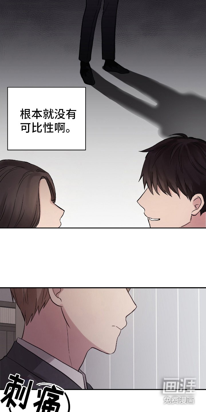 第13章：可比性