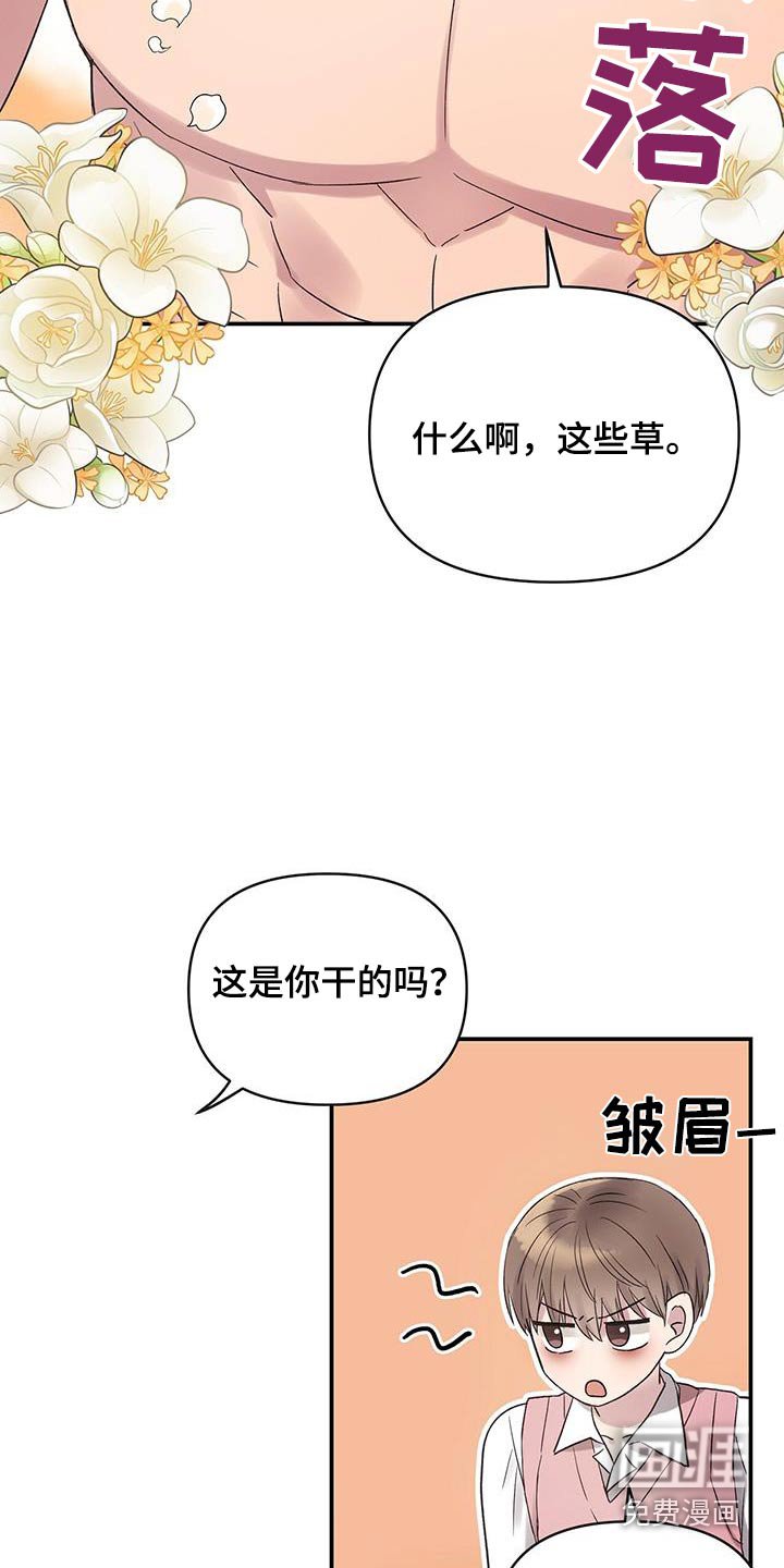 第32章：不是草