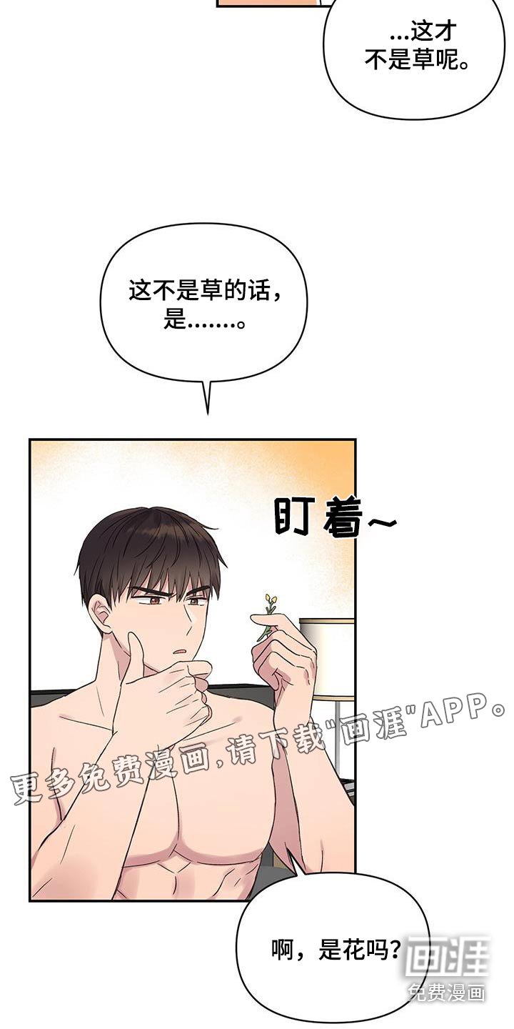 第32章：不是草