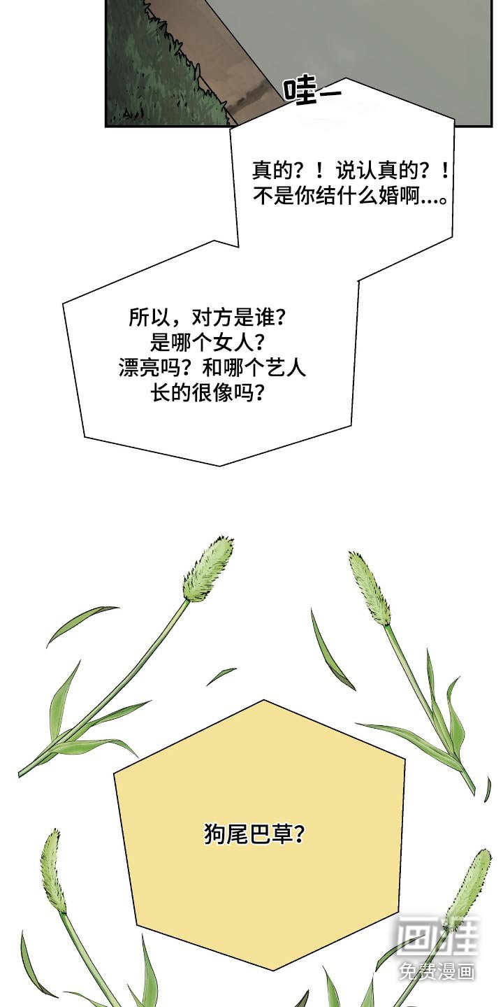 第44章：准备结婚