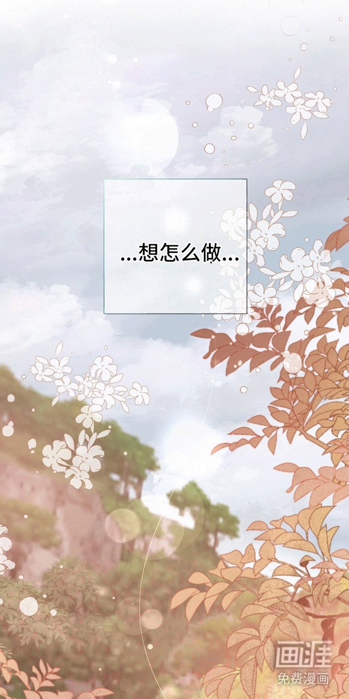 第13章：夜会