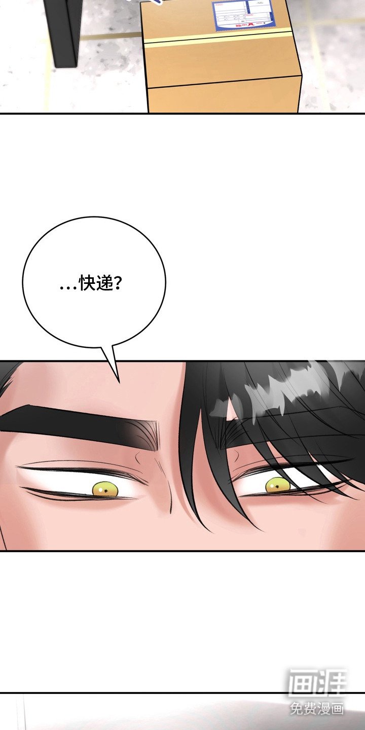 第13章： 快递