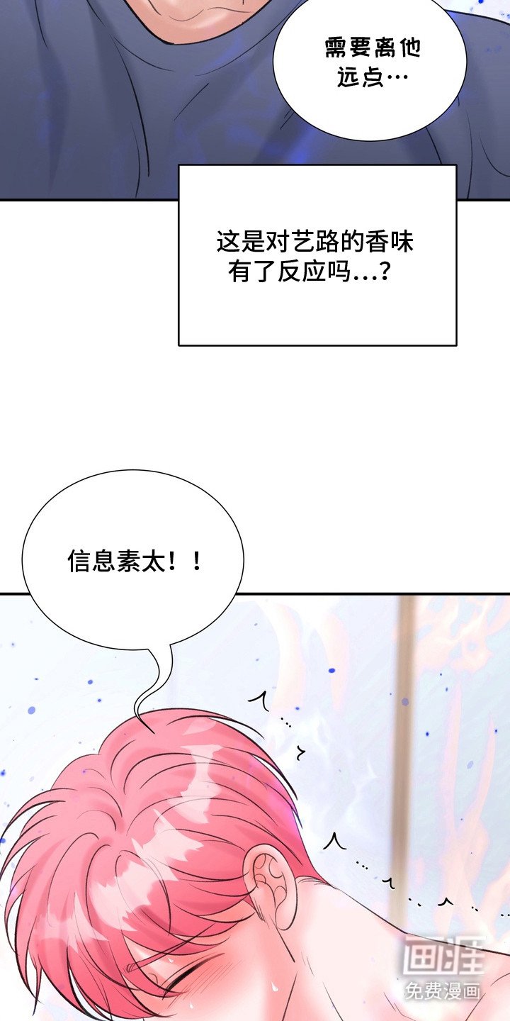 第14章：香味