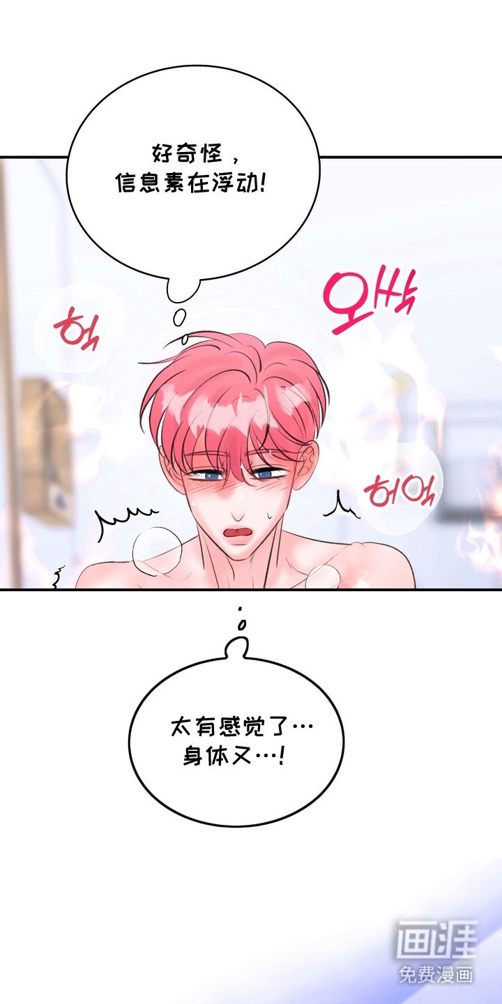 第14章：香味